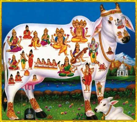  Learn About Lord Lakshmi, the Magical Cow Who Grants Wishes!