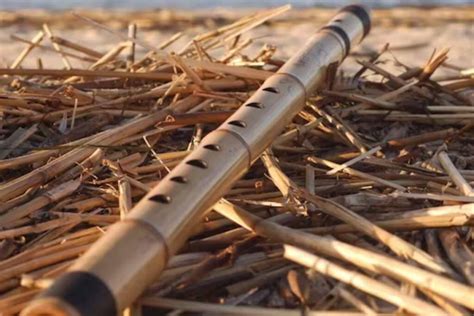 The Bamboo Flute Maker Explores Love, Loss, and the Power of Music in 19th Century Vietnam!