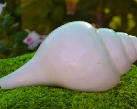 The Enchanted Conch Shell! Exploring Ancient Thai Folklore Through a Tale of Desire and Deception